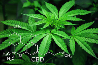 Cannabispflanze und chemische Formel