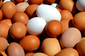 Eier