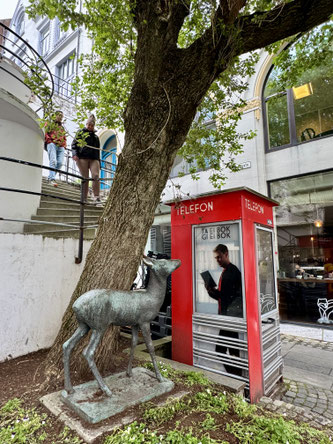 Bild: Reh, Telefon, Treppe