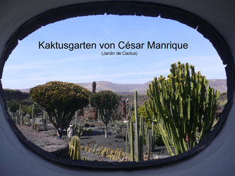 Bild: Jardín de Cactus