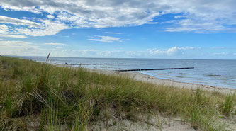 Bild: Der Strand von Zingst