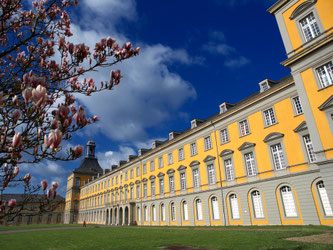 Foto: Frank Luerweg/Universität Bonn
