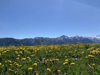 Wanderung auf dem Jaunpass.