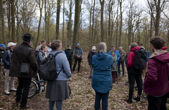Pseudogley Stauwasserboden Boden des Jahres 2015 Tagebau Hambach Hambacher Wald Forst NABU Düren
