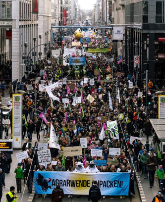 Foto: Nick Jaussi/wir-haben-es-satt.de