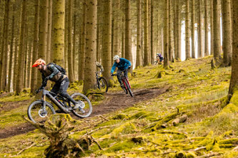 Mountainbikefahrer, die einen mit Bäumen gesäumten Hang hinunterfahren.