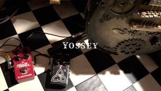 【ご予約品】YOSSEY CD&写真集セット Amazon.co.jp: セキセイ SEKISEI アルバム ポケット フォト