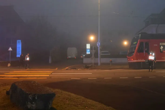 (Bildquelle: Polizei Kanton Solothurn)