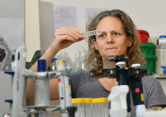 Klare Sicht aufs Wesentliche: Tina Bürki vom Empa-Labor «Particles-Biology Interactions» in St. Gallen sieht im Plazenta-Embryo-Chip die Zukunft für Tests zur Entwicklungstoxizität. Bild: Empa