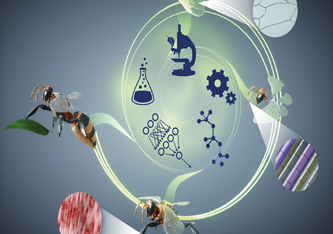 "Skills for Physical Artificial Intelligence", Nature Machine Intelligence (2020). Illustration: Empa / Imperial College London.