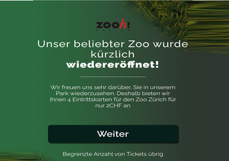 Printscreen der Fake-Website