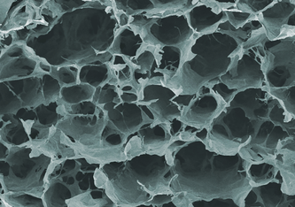 Die typische luftige Struktur des Aerogels (Elektronenmikroskopie, farbig) Bild: Empa