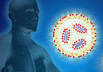 Zum ihrem Schutz ist die mRNA (blaue Schlangen) in einem Lipid-Nanopartikel verpackt. Mit Neutronen der Forschungs-Neutronenquelle untersuchte ein Forschungsteam verschiedene Formulierungen, um die Übergabe der mRNA an die Zelle zu optimieren.