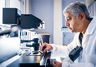 G.V. Shivashankar und seinem Team gelang es in einem Laborversuch, die Regeneration und Wundheilung von Hautgewebe mittels stammzellenähnlichen Fibroblasten erheblich zu beschleunigen. (Foto: Paul Scherrer Institut/Markus Fischer)