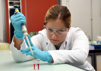In den Empa-Labors wird an Antibiotikaresistenz-Sensoren gearbeitet, deren Farbstoffe auf bestimmte Bakterien reagieren. Bild: Empa