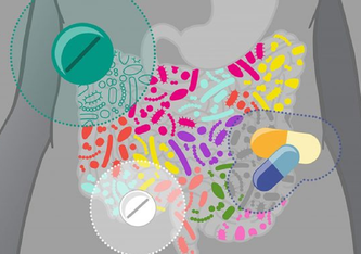 Medikamente können die Darmmikroben auf unterschiedliche Weise beeinflussen. Isabel Romero Calvo EMBL