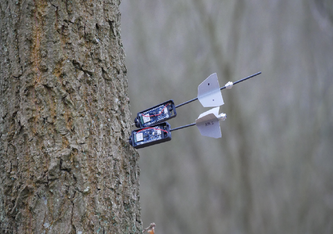 Die Flugroboter können mit Sensoren bestückte Pfeile selbst bei dichtem Waldbestand platzieren. Foto: Imperial College London 