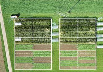 Foto: Agroscope, Raphaël Wittwer