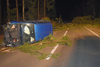 Der Lenker fuhr in eine auf der Strasse liegenden Tanne rein. (Bildquelle: Luzerner Polizei)