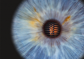 Von der Netzhaut zum Mittelhirn: elektrische Signale der axonalen Verzweigungen einer retinalen Nervenzelle, die zeitgleich an den winzigen Elektroden einer Neuropixels-Sonde im Mittelhirn gemessen wurden (hier dargestellt als Linien).
