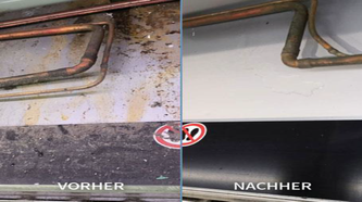 Sauber Trockendampf