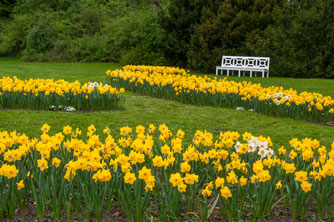 Fürst Pückler Park, Bad Muskau