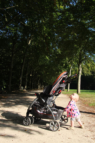 Paris Playground Versailles