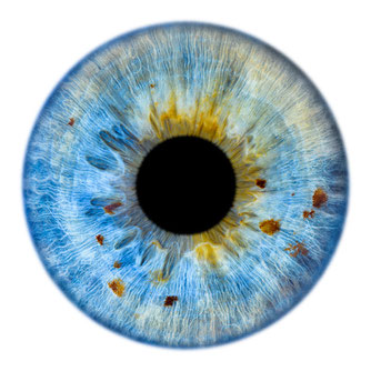 association art de voir - yoga des yeux methode bates