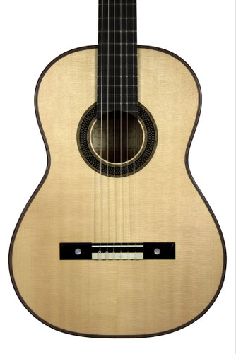 Dieter Muller - classical guitar  