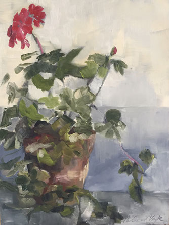 "Geraniums", oil on panel 30x40 cm by Philine van der Vegte