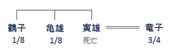 相続人が兄弟姉妹