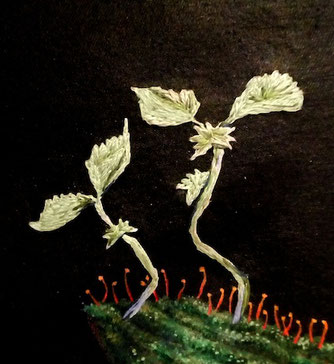 leaf, new, embroidery, plant, eureka, canvas, artwork, mixedmedia