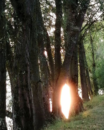 severine saint-maurice, lescerclesdelumiere.com, orbe, coucher de soleil