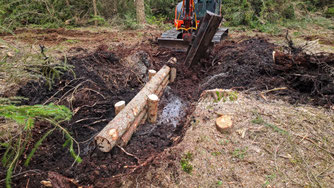 Torfdamm mit Stammholzarmierung, Foto: Manfred Kinberger