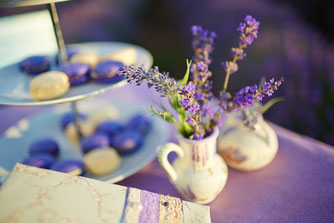 <img src=“Herzenssache, Hochzeitsplanung, Hochzeitsagentur, Dekoration, Themenhochzeit, NRW, RLP, Koblenz, Bonn, Köln, Neuwied“ alt=“Herzenssache, Hochzeitsplanung, Dekoration, Themenhochzeit, Hochzeitsagentur, NRW, RLP, Bonn, Köln, Koblenz, Neuwied“>