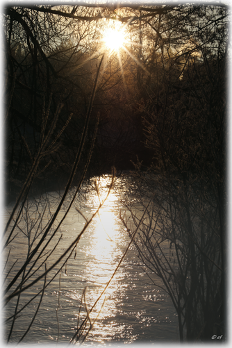 Die Wintersonne an der Brigach