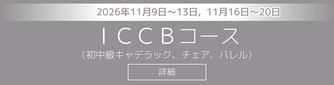 ストットピラティス 認定インストラクター養成講座　ICCBコース（初中級キャデラック、チェア、バレル）