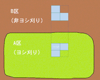 図２：渡良瀬遊水地　ヨシ刈り場の内外に3個ずつコドラートを設置したことを示す。