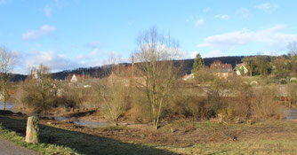 Insel im Vorland im Bruckenwasen