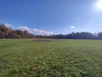 Das FFH-Gebiet Göldern - Foto: NABU/Pina Niessen