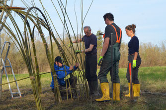 Freiwillige, Ehrenamtliche und Hauptamtliche bauen gemeinsam ein Weidenpavillon - Foto: Florian Litzelmann