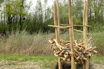 Auch das Teichrohrsängernest steht! - Foto: Jonathan Tosberg