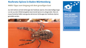 Homepage des NABU Landesverbandes Baden-Württemberg