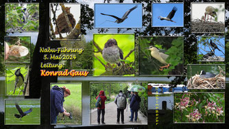 Fotos und Collage: S. Beyer