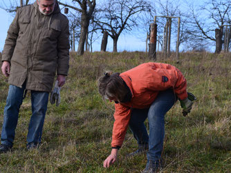 Franz Lambert und Cornelia Schilling beobachten die Entwicklung einiger seltenen Pflanzen.   Foto: Rolf Reichelt