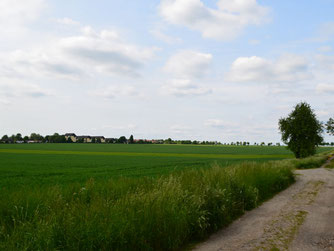 Das geplante Baugebiet am Södeweg in Wolfenbüttel.