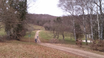 L'arboretum de Chamberet