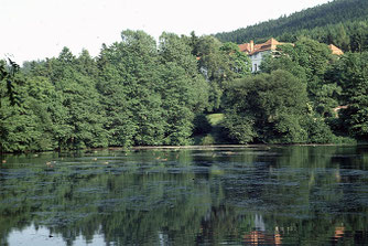 Einer der ersten Amphibienschutzzäune in Mittelthüringen stand am Ritzebühler Teich in Ilmenau. Foto: NABU Ilm-Kreis