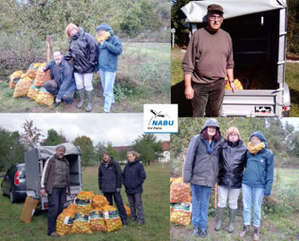 Apfelernte 2019 NABU KV Peine e.V.