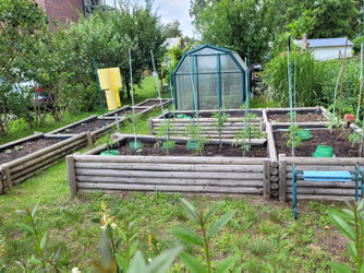 Hochbeete wurden bepflanzt
